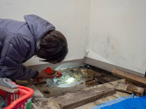 Best Asbestos and Lead Testing During Mold Inspection  in Miami Beach, FL