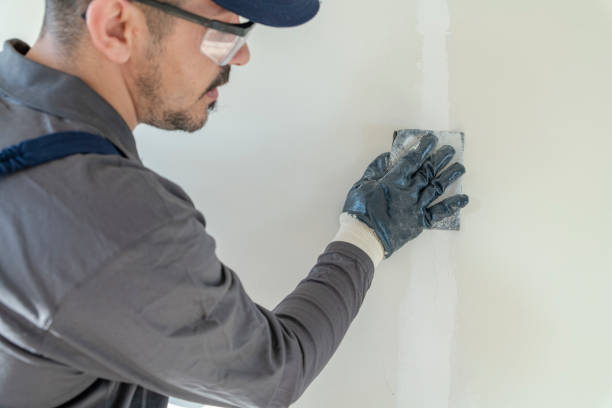 Best Basement Mold Removal  in Miami Beach, FL