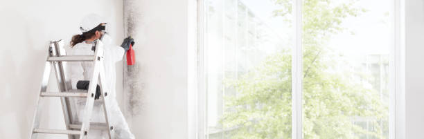 Best Mold Prevention Services  in Miami Beach, FL