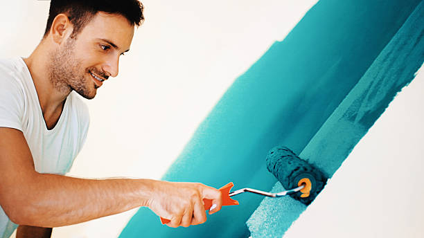Best Post-Construction Mold Inspection  in Miami Beach, FL